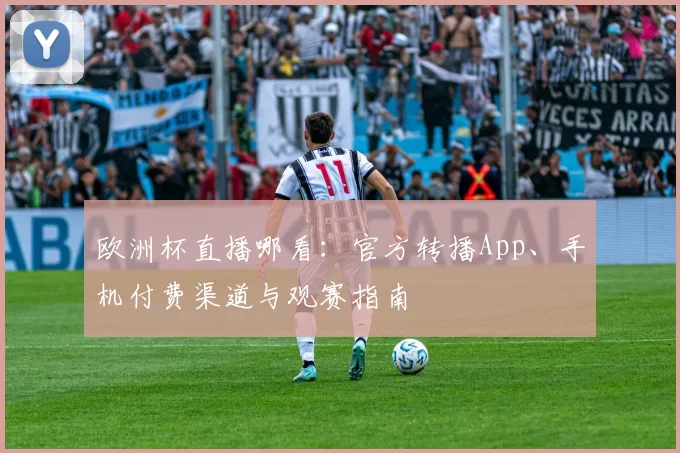 欧洲杯直播哪看：官方转播App、手机付费渠道与观赛指南