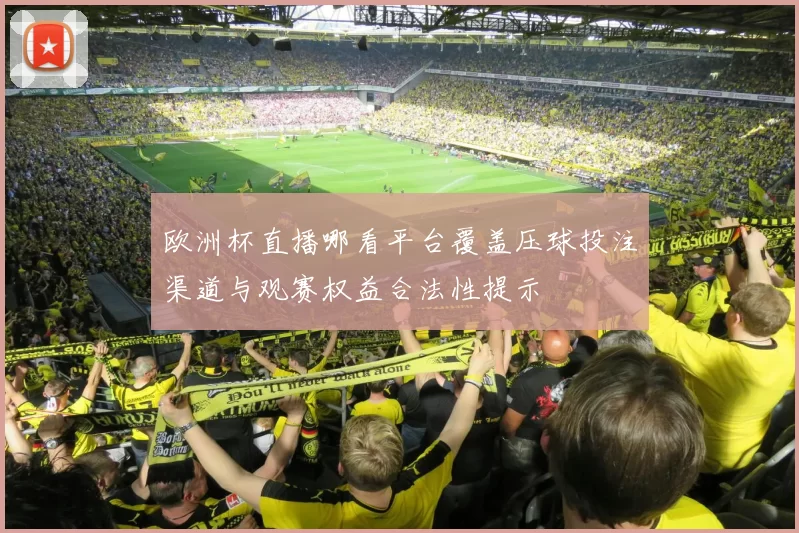 欧洲杯直播哪看平台覆盖压球投注渠道与观赛权益合法性提示