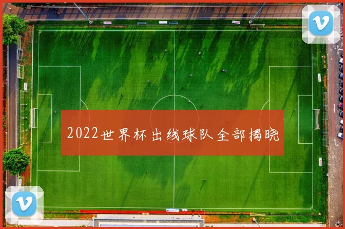 2022世界杯出线球队全部揭晓