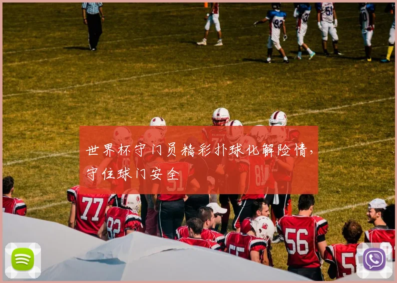 世界杯守门员精彩扑球化解险情，守住球门安全