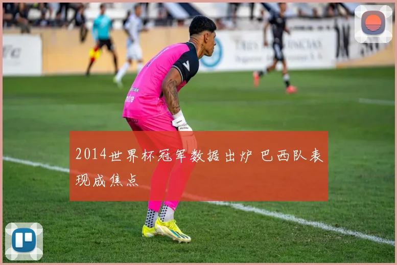 2014世界杯冠军数据出炉 巴西队表现成焦点