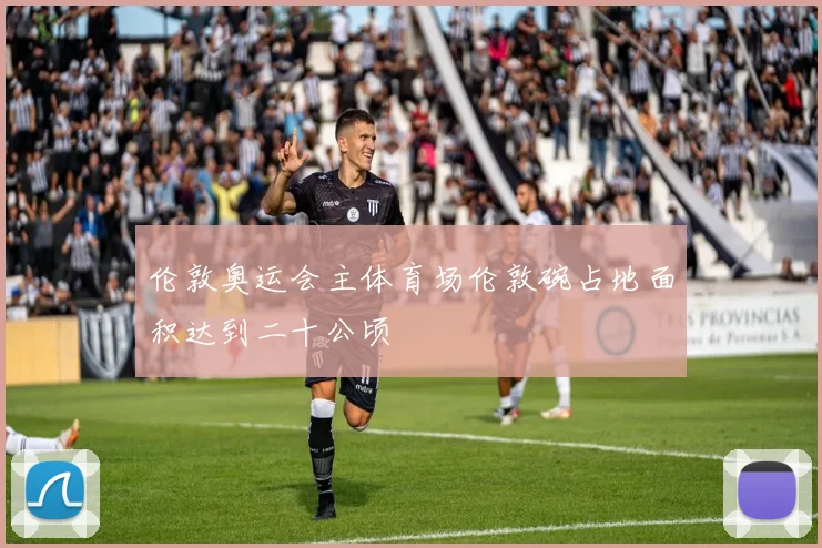 伦敦奥运会主体育场伦敦碗占地面积达到二十公顷