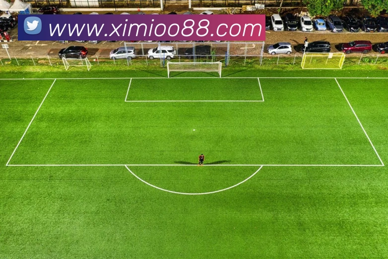 米兰体育app体育安全登录平台生态图